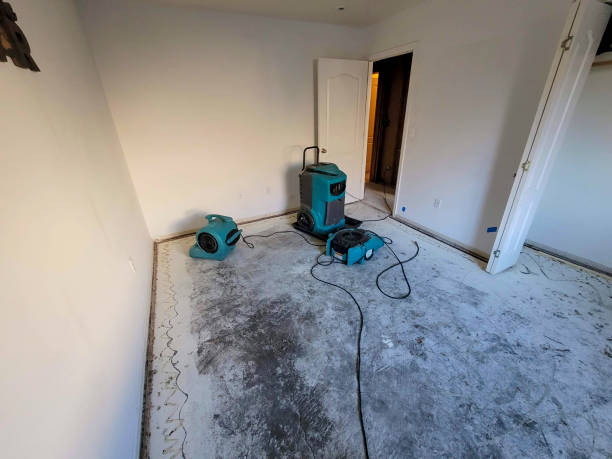 Best Basement water damage restoration  in Marinette, WI