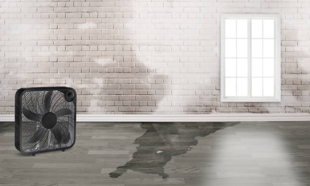 Best Water damage restoration near me  in Marinette, WI