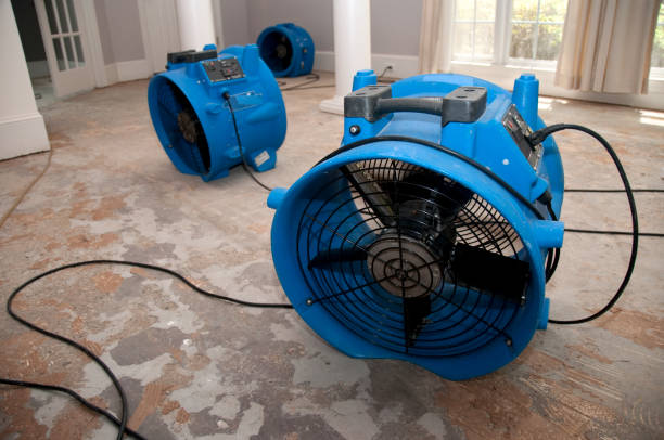 Best Water damage cleanup near me  in Marinette, WI