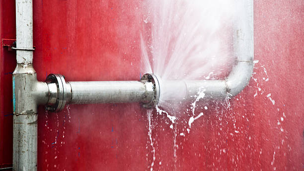 Best Flooded house restoration  in Marinette, WI