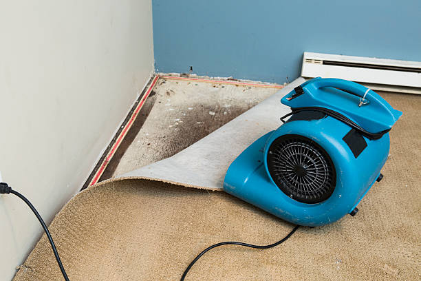 Best Flood restoration services  in Marinette, WI